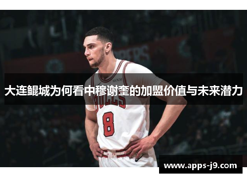 大连鲲城为何看中穆谢奎的加盟价值与未来潜力