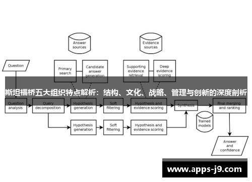 斯坦福桥五大组织特点解析：结构、文化、战略、管理与创新的深度剖析