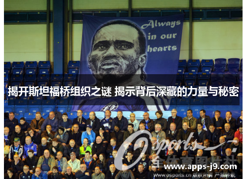 揭开斯坦福桥组织之谜 揭示背后深藏的力量与秘密