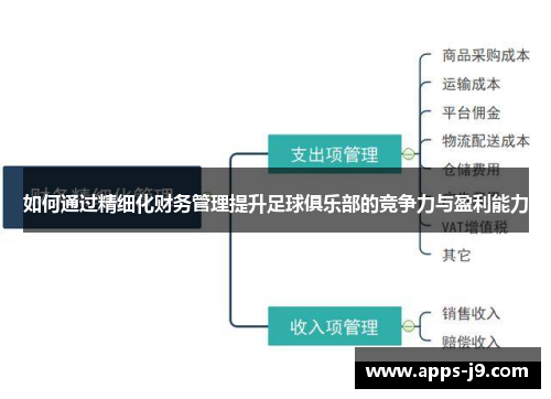 如何通过精细化财务管理提升足球俱乐部的竞争力与盈利能力