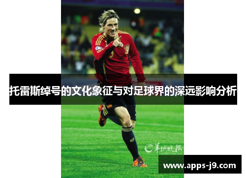 托雷斯绰号的文化象征与对足球界的深远影响分析