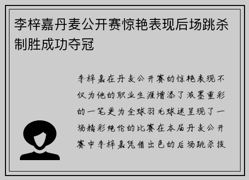 李梓嘉丹麦公开赛惊艳表现后场跳杀制胜成功夺冠